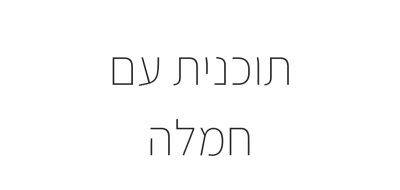 לו"ז מציאותי